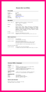 Cv maken in het Engels: tips en voorbeelden cv engels