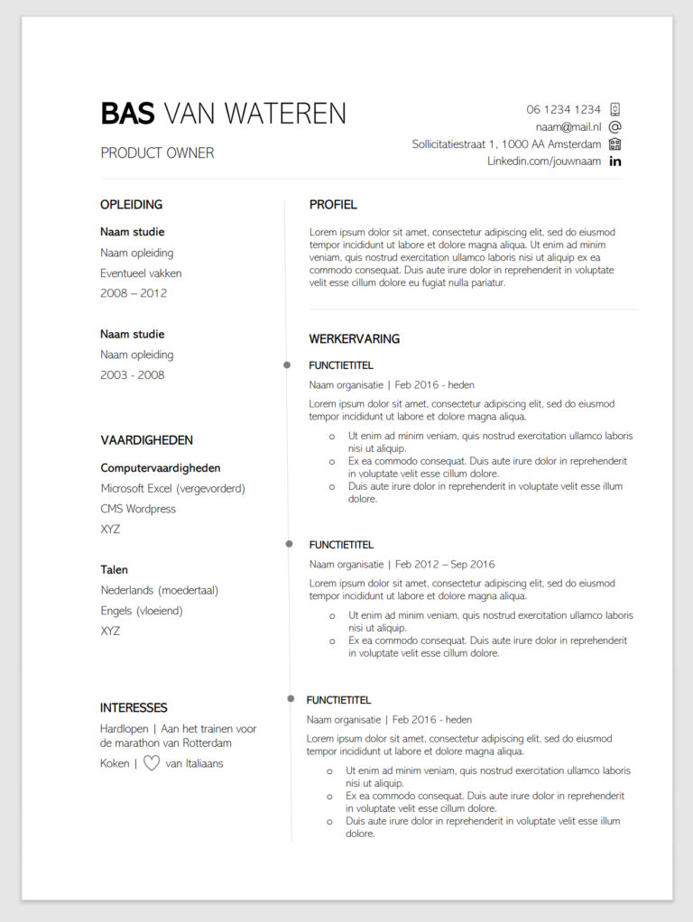 Gratis Cv Maken Voorbeeld Design Beaks nl