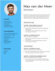 Professioneel CV Developer: voorbeelden + tips cv developer