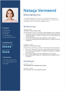 Cv Belastinginspecteur (voorbeeld) cv voorbeeld belastinginspecteur