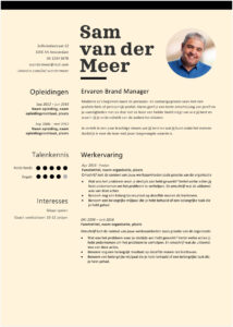 Cv Brand Manager: voorbeelden, templates en tips cv brand manager