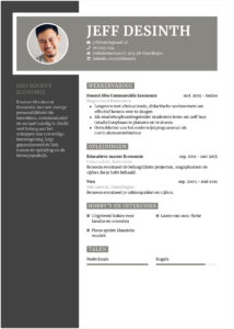 Cv voorbeeld Hbo-docent cv docent hbo