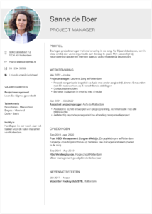 cv projectmanager