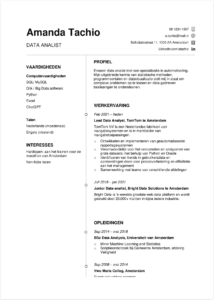 Professioneel Cv Data-analist (voorbeeld) cv data analist