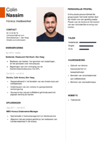 Moderne cv templates: gratis downloaden cv-template-block