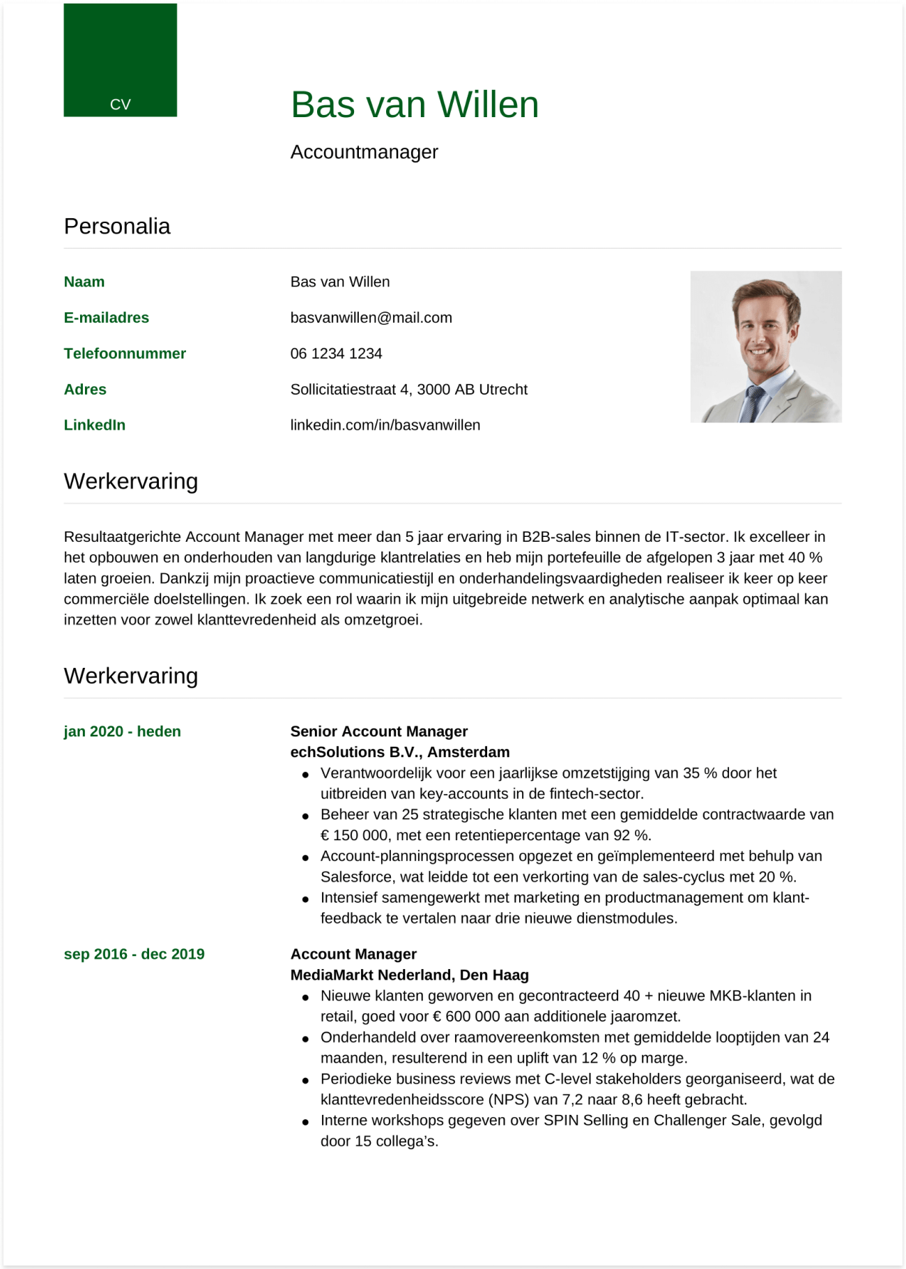 cv salesmanager voorbeeld