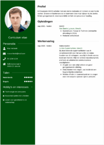 Cv zonder werkervaring: 3 voorbeelden, stappenplan en tips cv zonder werkervaring voorbeeld