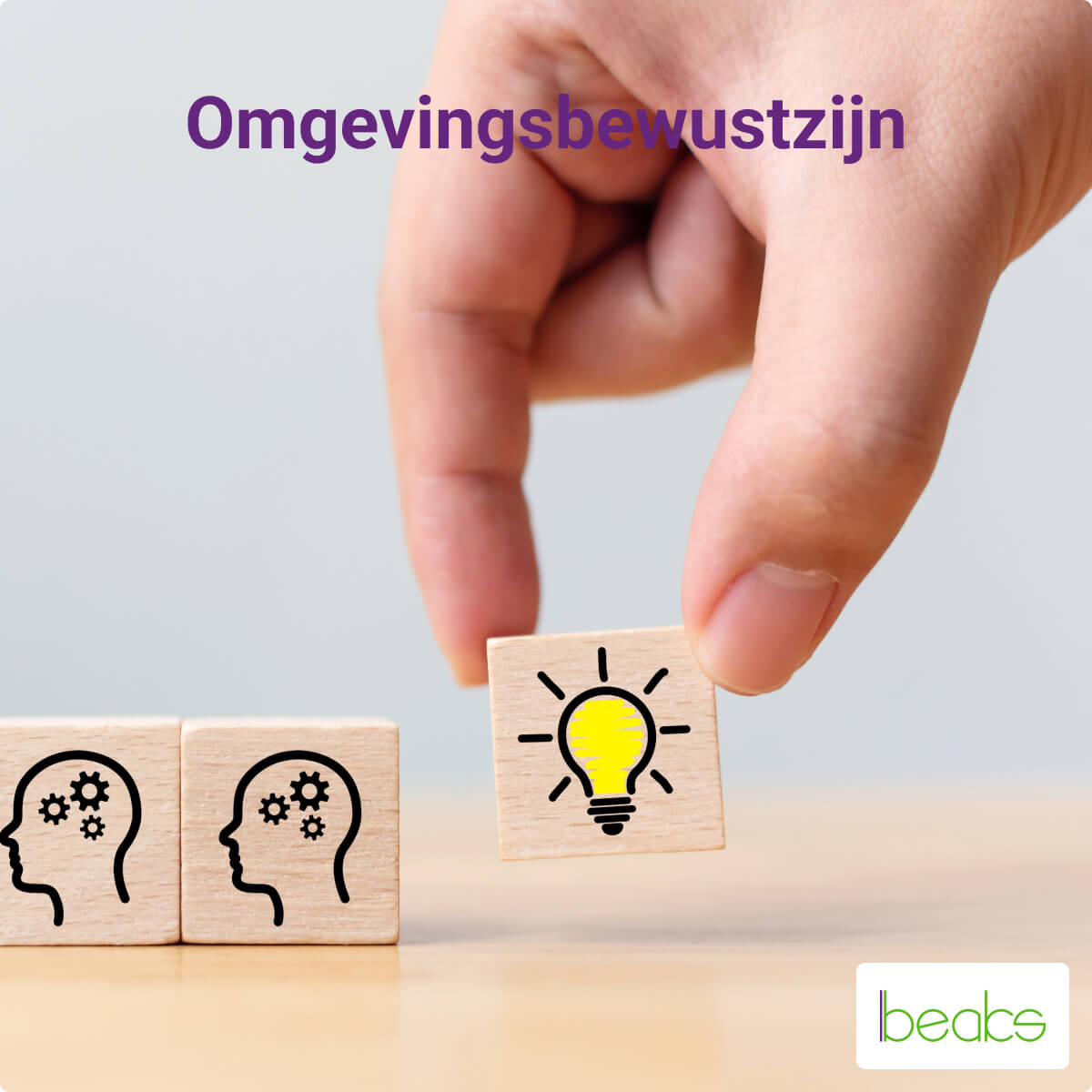 omgevingsbewustzijn