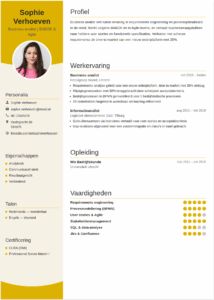 Cv Business Analist: voorbeelden, templates en tips cv business analist