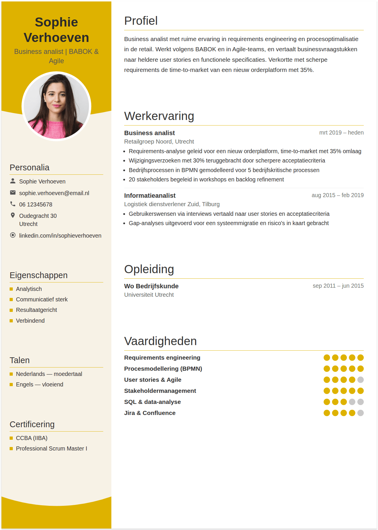 cv business analist