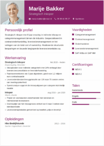 Cv Inkoper: voorbeeld, vaardigheden en tips cv inkoper