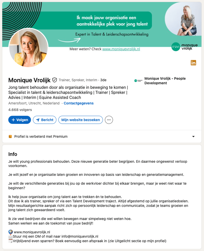 linkedin samenvatting voorbeeld